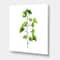 Designart - Green Field Plant Foliage - Farmhouse Canvas Wall Art Print